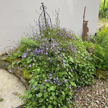Muehlenbach, Ein In Mit 2 Zi